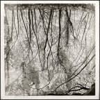 FEDERICA GALLI, primo amore