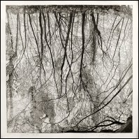 Federica Galli - Grande lanca - 1980