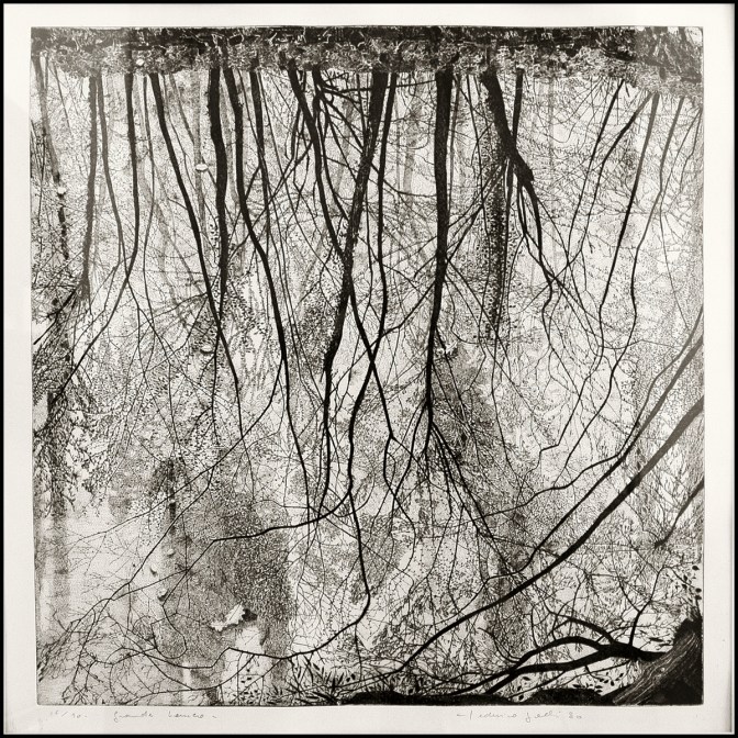 Federica Galli - Grande lanca - 1980