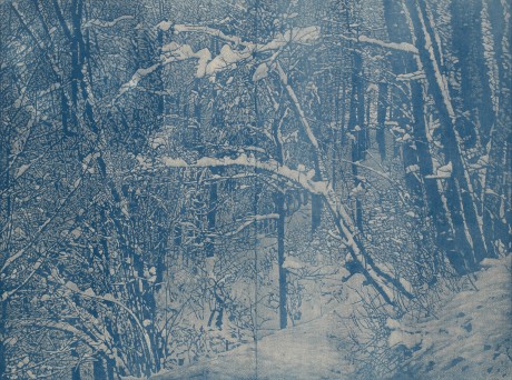 Winter-Drucknr.1-zugeschnitten